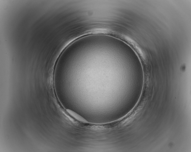 X0000097911473200803211453