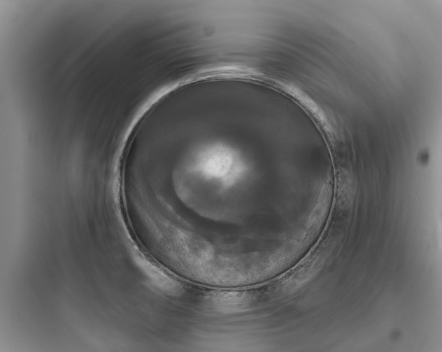 X0000097911474200803211453