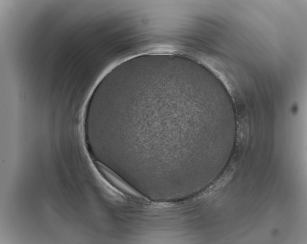 X0000097911475200803211453