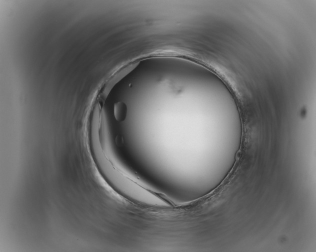 X0000097911476200803211453