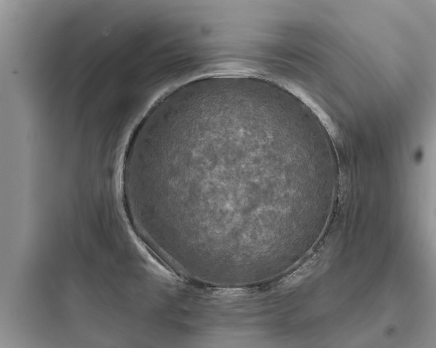 X0000097911477200803211453