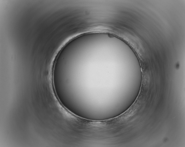 X0000097911478200803211453