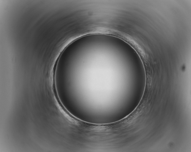 X0000097911479200803211453