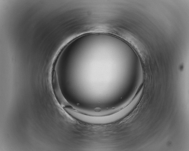 X0000097911480200803211453