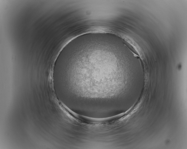 X0000097911481200803211453