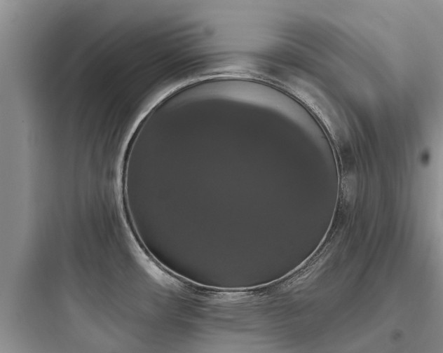 X0000097911482200803211453