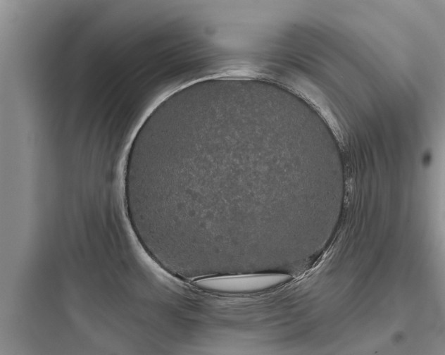 X0000097911483200803211453