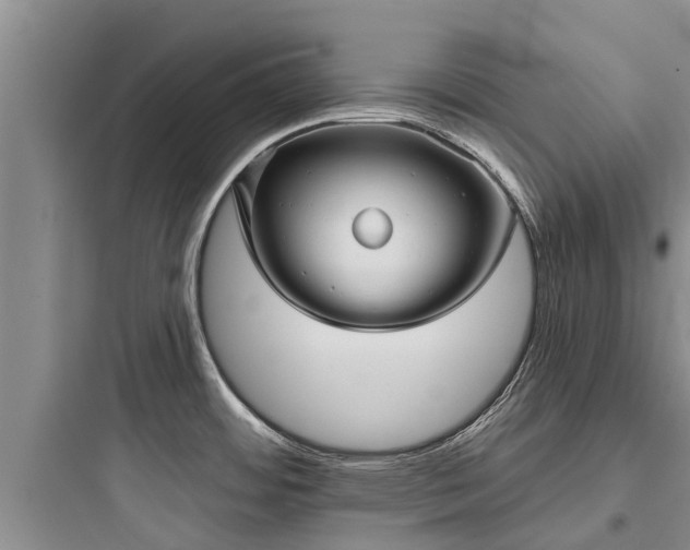 X0000097911484200803211453