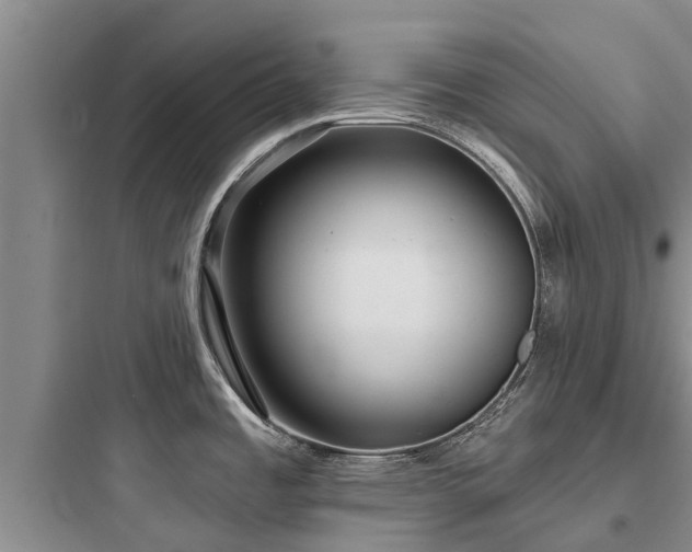 X0000097911485200803211453