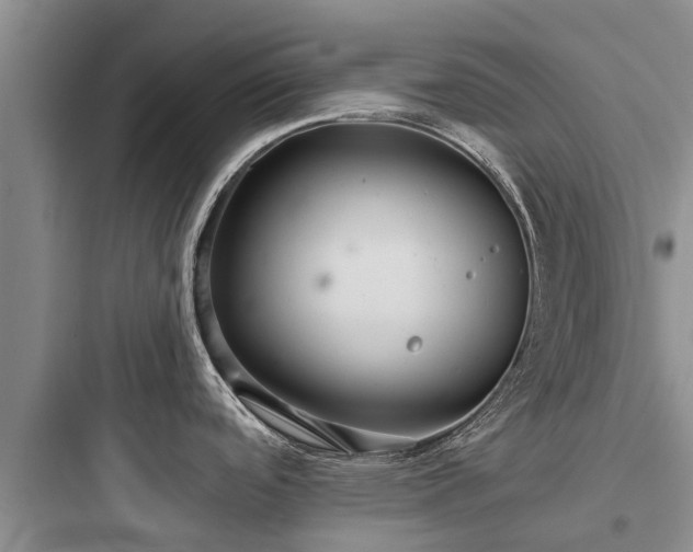 X0000097911488200803211453