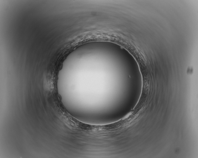 X0000097911490200803211452