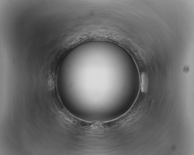 X0000097911491200803211452