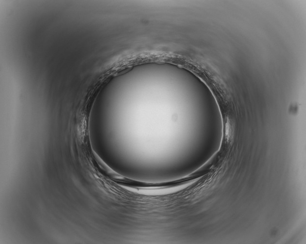 X0000097911492200803211452