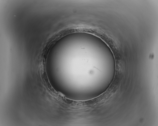 X0000097911493200803211452