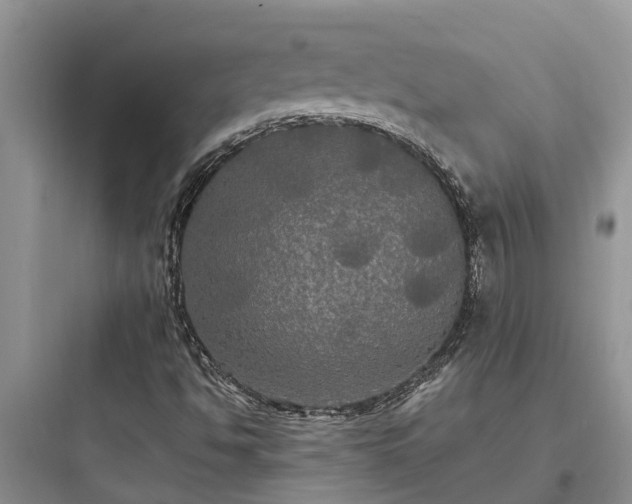 X0000097911494200803211452