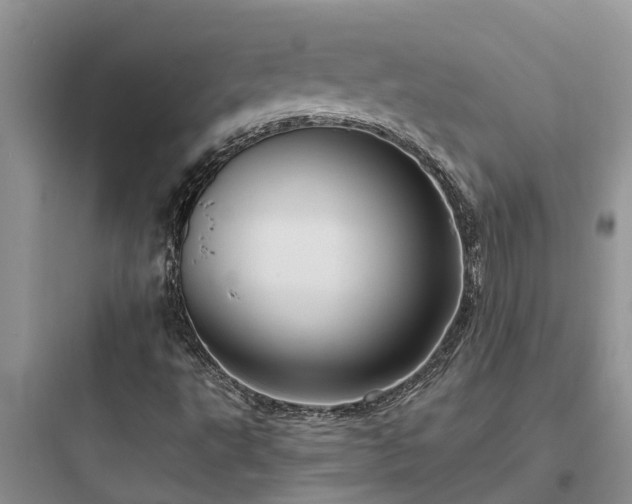 X0000097911495200803211452