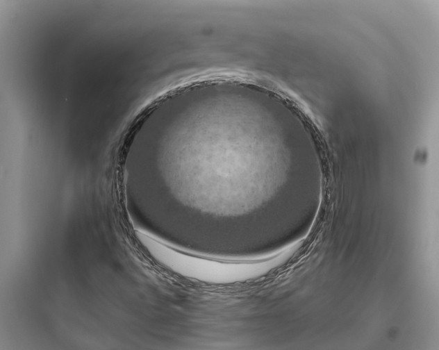 X0000097911496200803211452