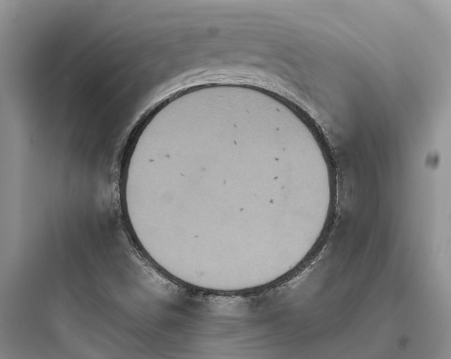 X0000097911498200803211452