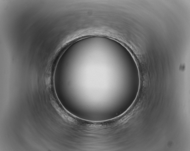 X0000097911499200803211452