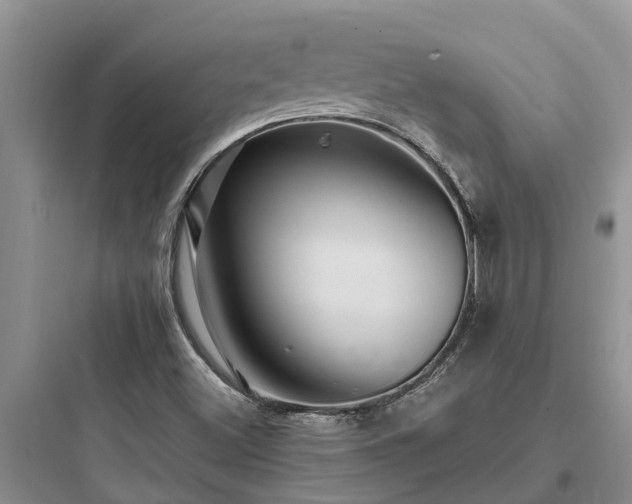 X0000097911500200803211452