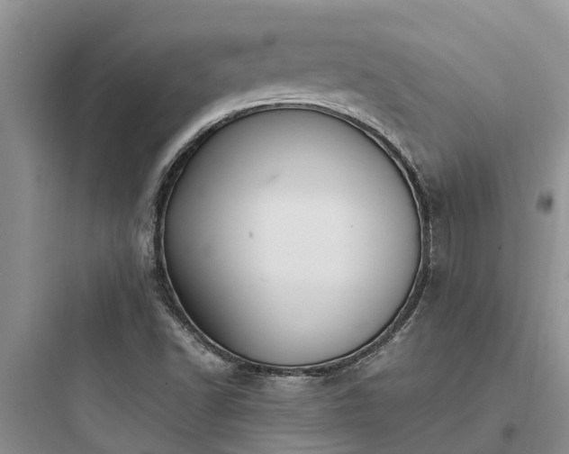 X0000097911502200803211452