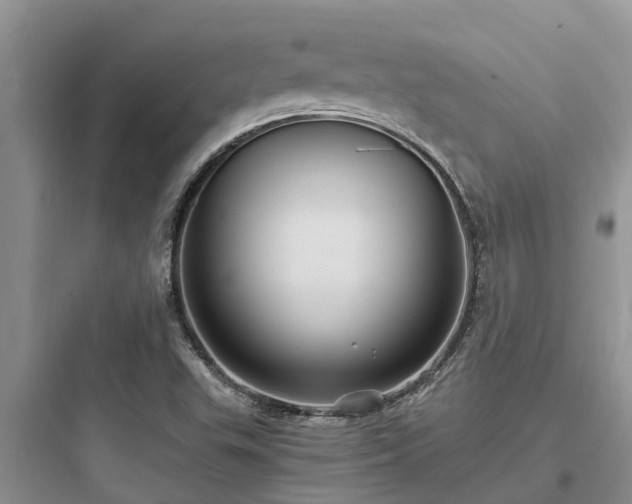 X0000097911503200803211452