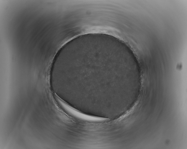 X0000097911505200803211452