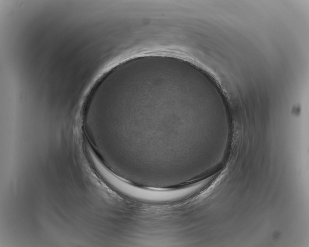 X0000097911506200803211452