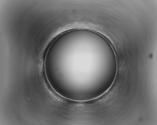 X0000097911507200803211452