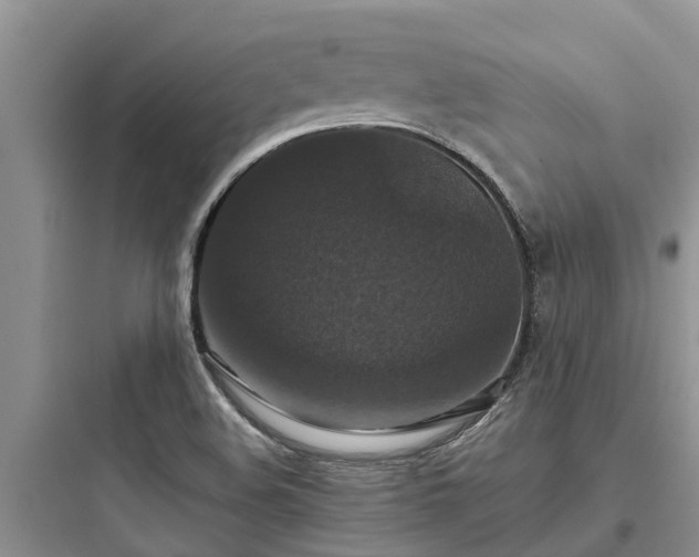 X0000097911508200803211452