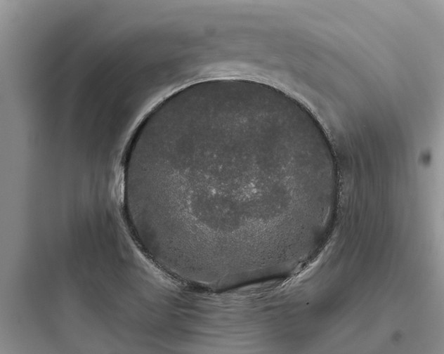 X0000097911509200803211452