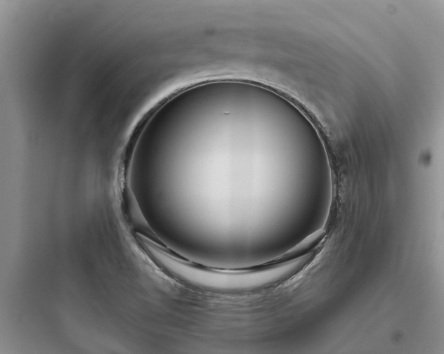 X0000097911510200803211452