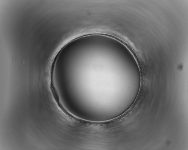 X0000097911512200803211452