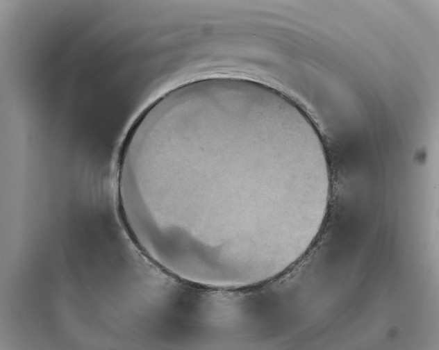 X0000097911514200803211452