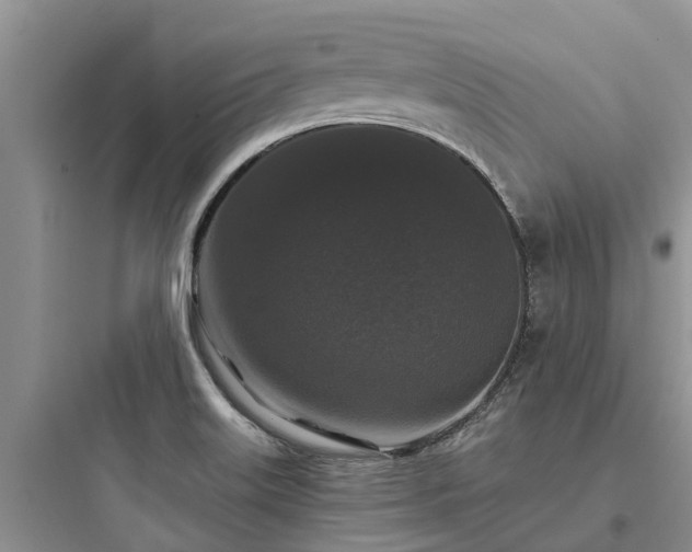 X0000097911515200803211453