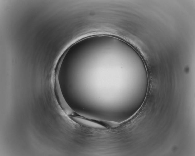 X0000097911516200803211453