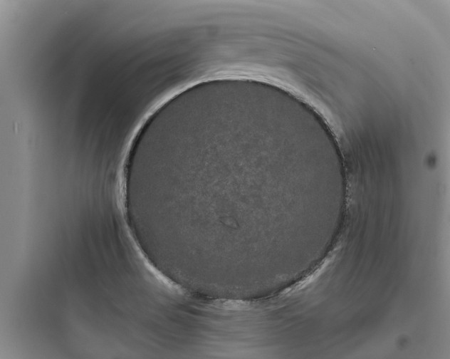 X0000097911517200803211453