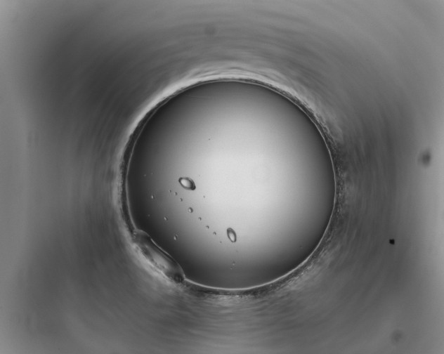 X0000097911518200803211453