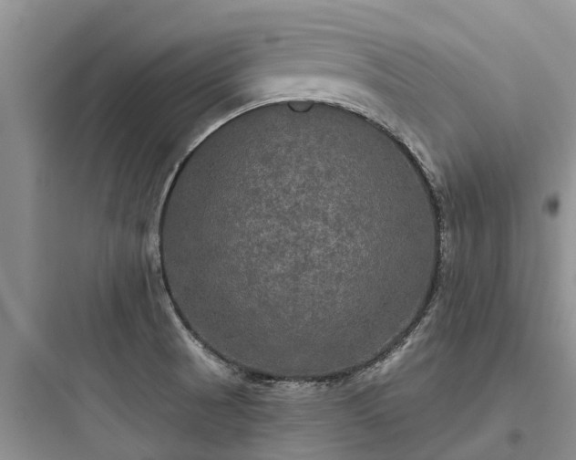 X0000097911521200803211453