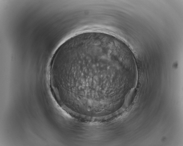 X0000097911522200803211453