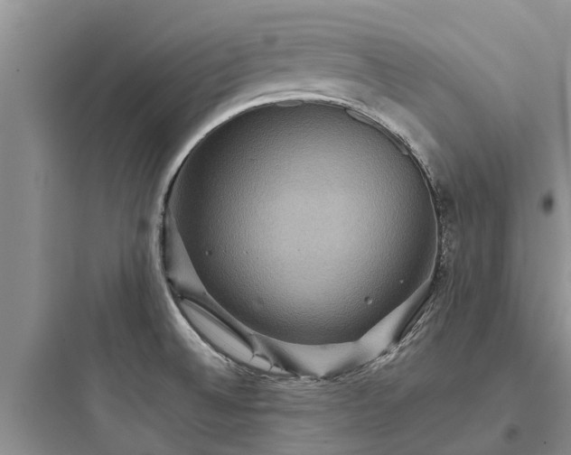 X0000097911524200803211453