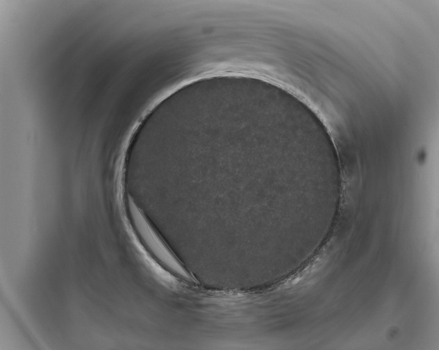 X0000097911525200803211453