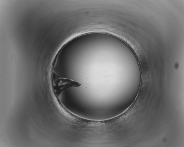 X0000097911526200803211453