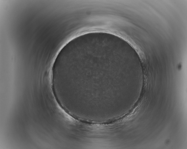 X0000097911527200803211453