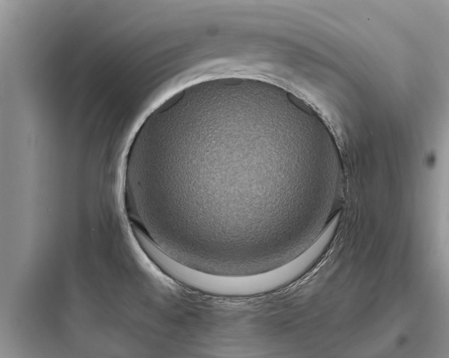 X0000097911528200803211453