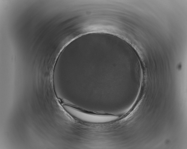 X0000097911529200803211453