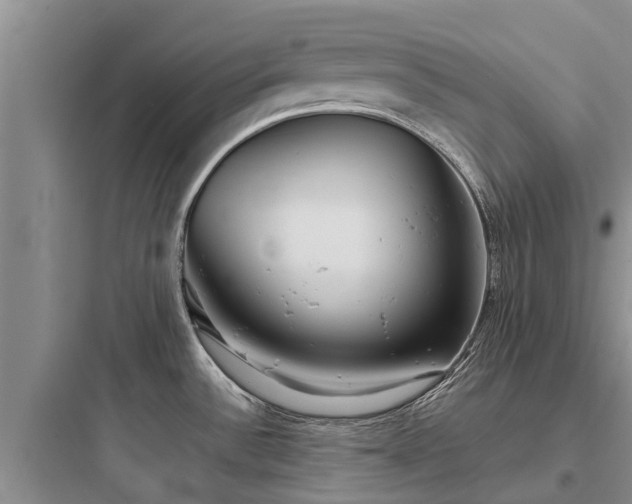 X0000097911532200803211453