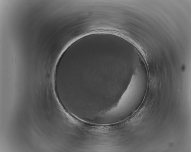 X0000097911533200803211453