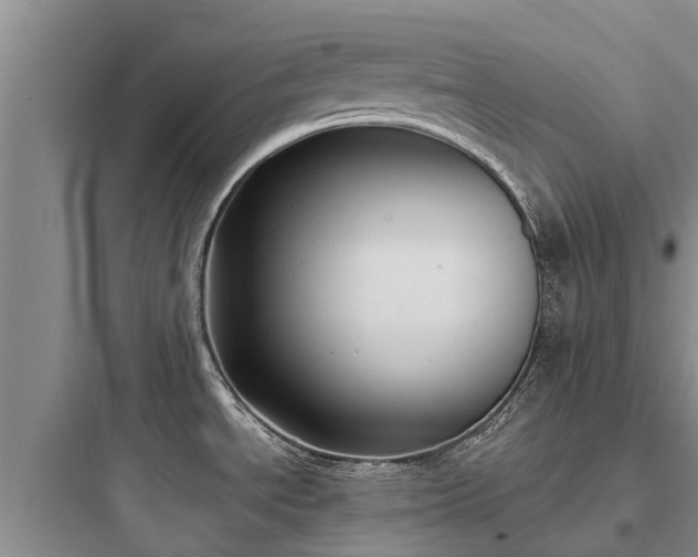 X0000097911534200803211453