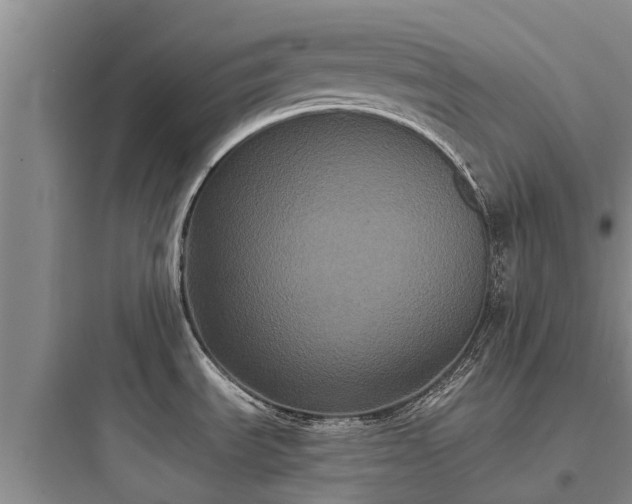 X0000097911535200803211453